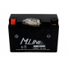 Akumulator M.Line GEL 12V 8Ah 115A L+ YT9B-4