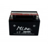 Akumulator M.Line 12V 8.7Ah 120A L+ CT12A-BS