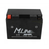 Akumulator M.Line GEL 12V 11Ah 210A L+ YTZ12S