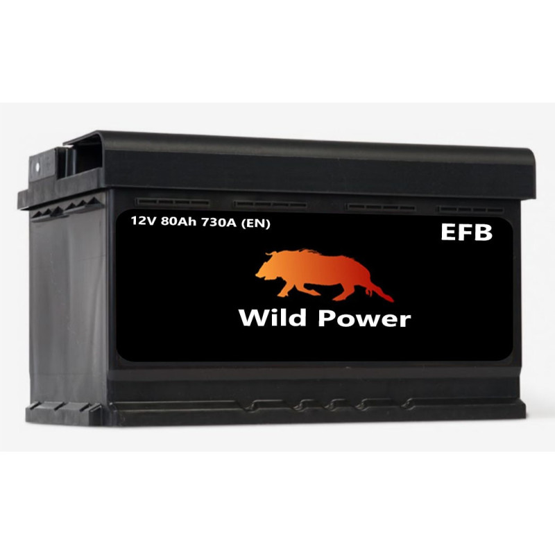 Akumulator Wild Power EFB 80Ah 730A P+