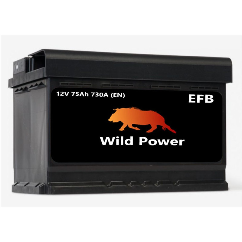 Akumulator Wild Power EFB 75Ah 730A P+