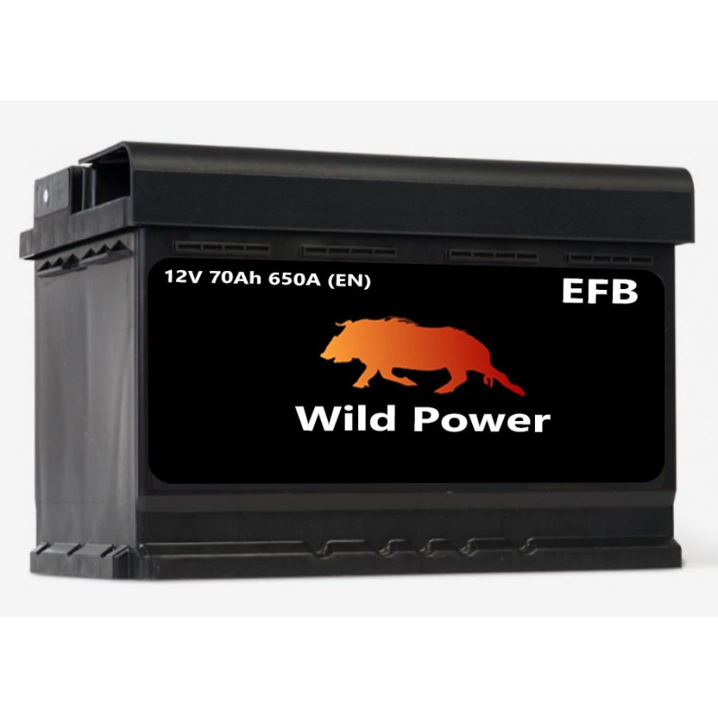 Akumulator Wild Power EFB 70Ah 650A P+