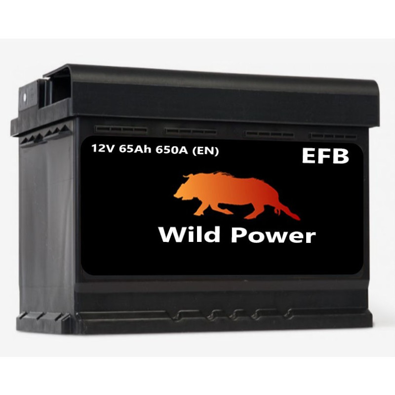 Akumulator Wild Power EFB 65Ah 650A P+