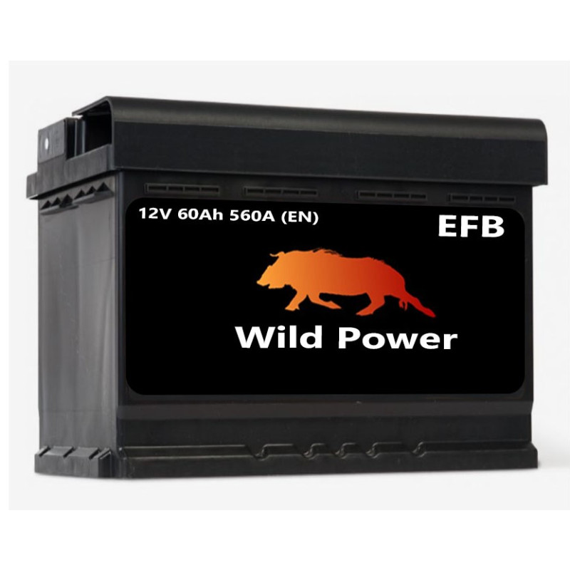 Akumulator Wild Power EFB 60Ah 560A P+