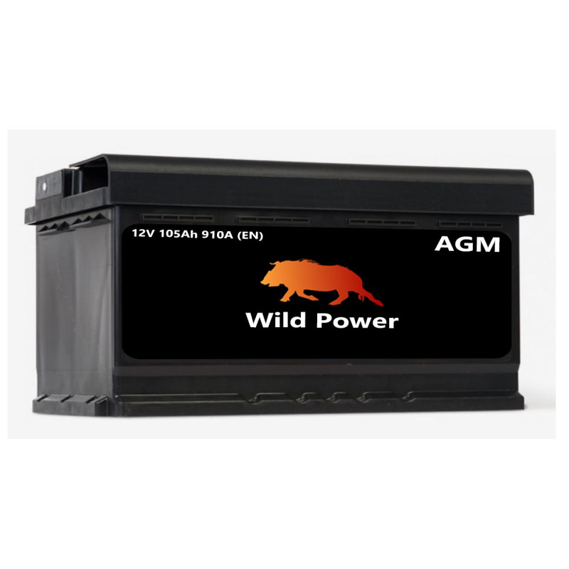 Akumulator Wild Power AGM 105Ah 910A P+