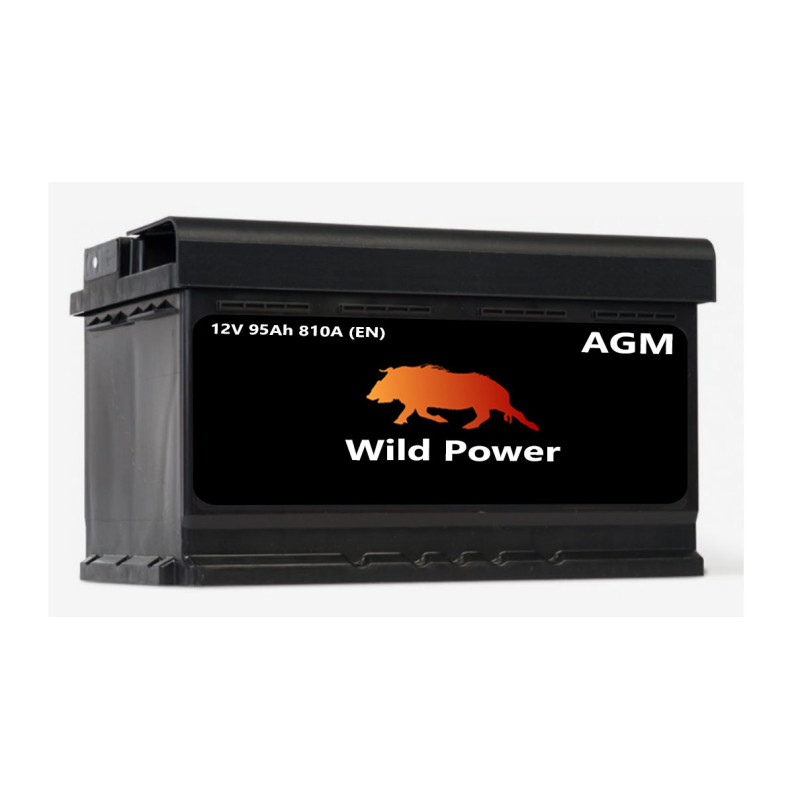 Akumulator Wild Power AGM 95Ah 810A P+