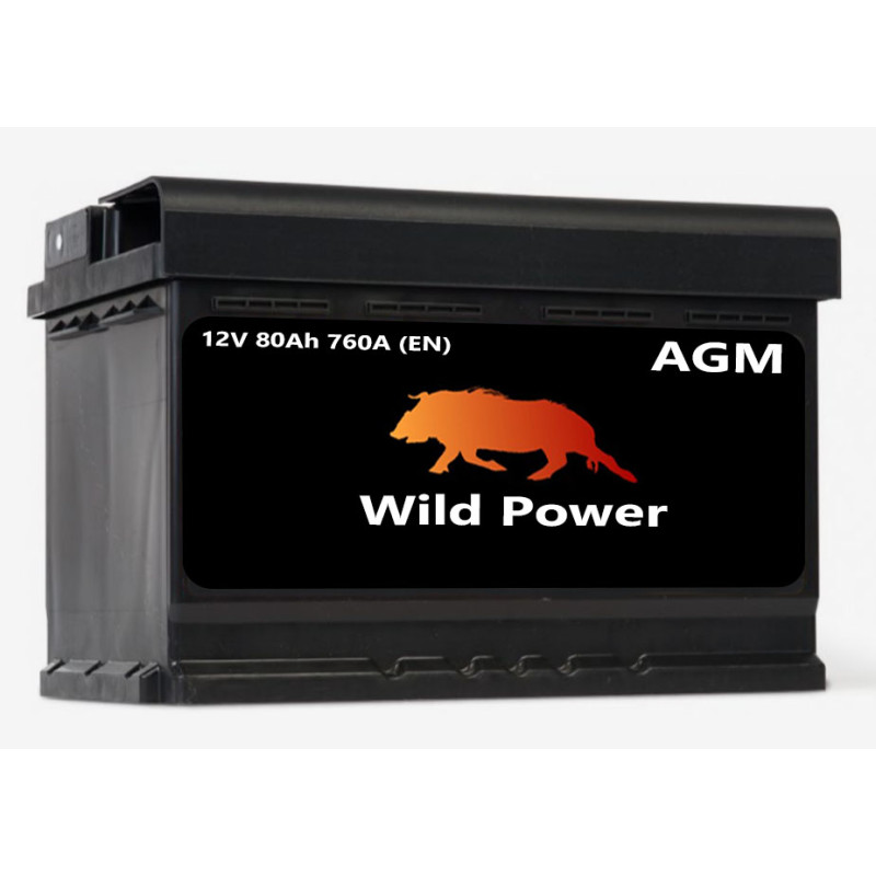 Akumulator Wild Power AGM 80Ah 760A P+