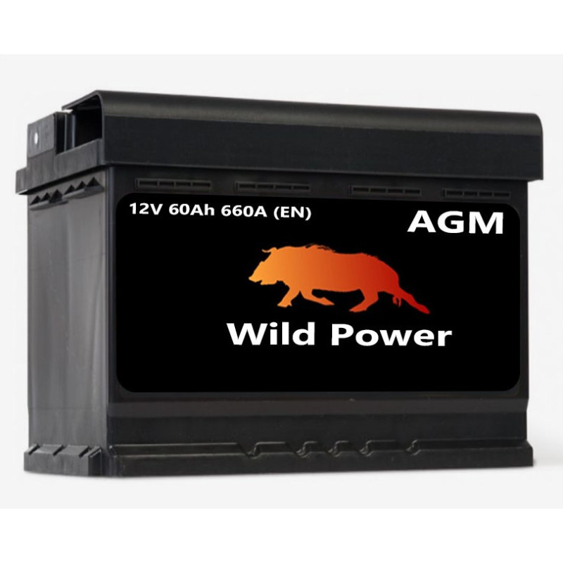 Akumulator Wild Power AGM 60Ah 660A P+