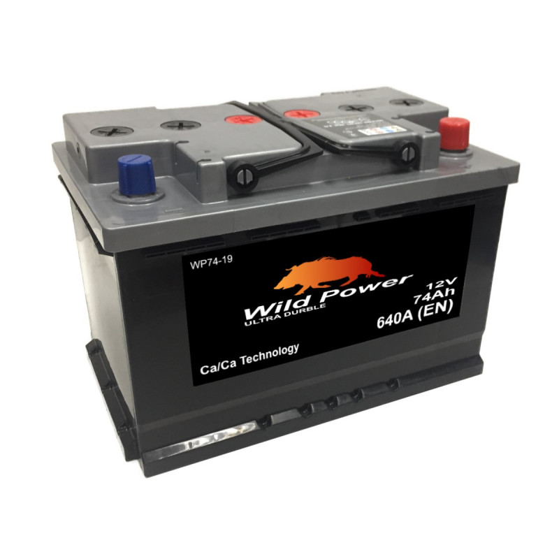 Akumulator Wild Power 12V 74Ah 640A P+
