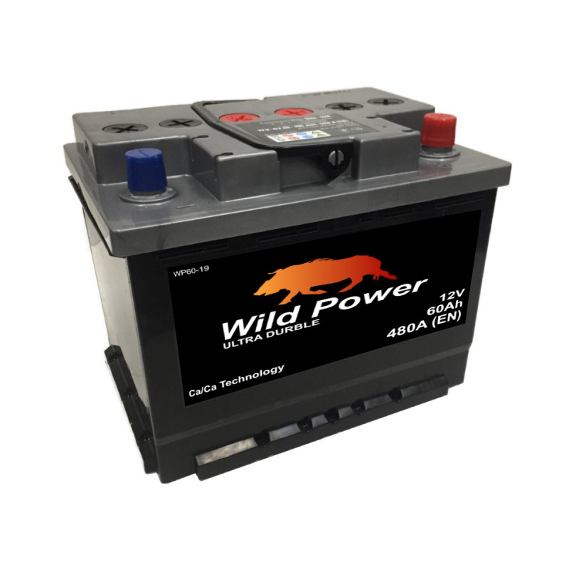 Akumulator Wild Power 12V 60Ah 480A P+