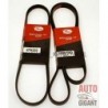PASEK PASKI WIELOROWKOWE PASSAT 1.9 TDI AFN GATES